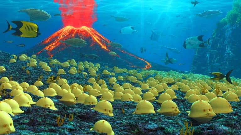 “Thousands of Giant Living Eggs Found Beneath the Sea” as Underwater Volcano Discovery Stuns and Terrifies Marine Scientists Worldwide Illustration of an underwater volcano near Vancouver Island revealing thousands of giant eggs belonging to the Pacific white skate.