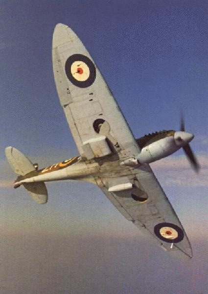 spitfire