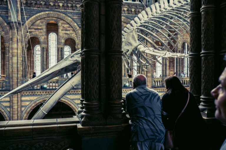 Science Museum Group Academy ends BP partnership as contract term concludes