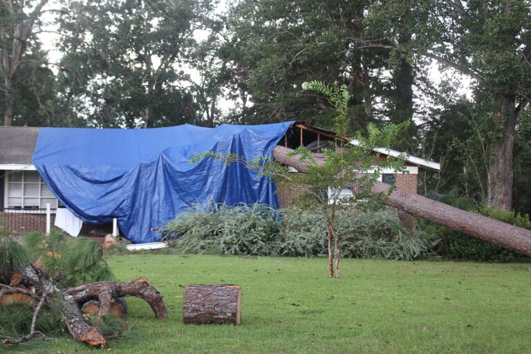 Isaias leaves two dead as it fades over the US south-east