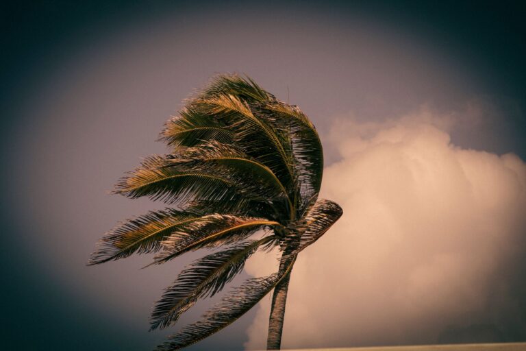 Hurricane Isaias hits Florida near Destin as category 2