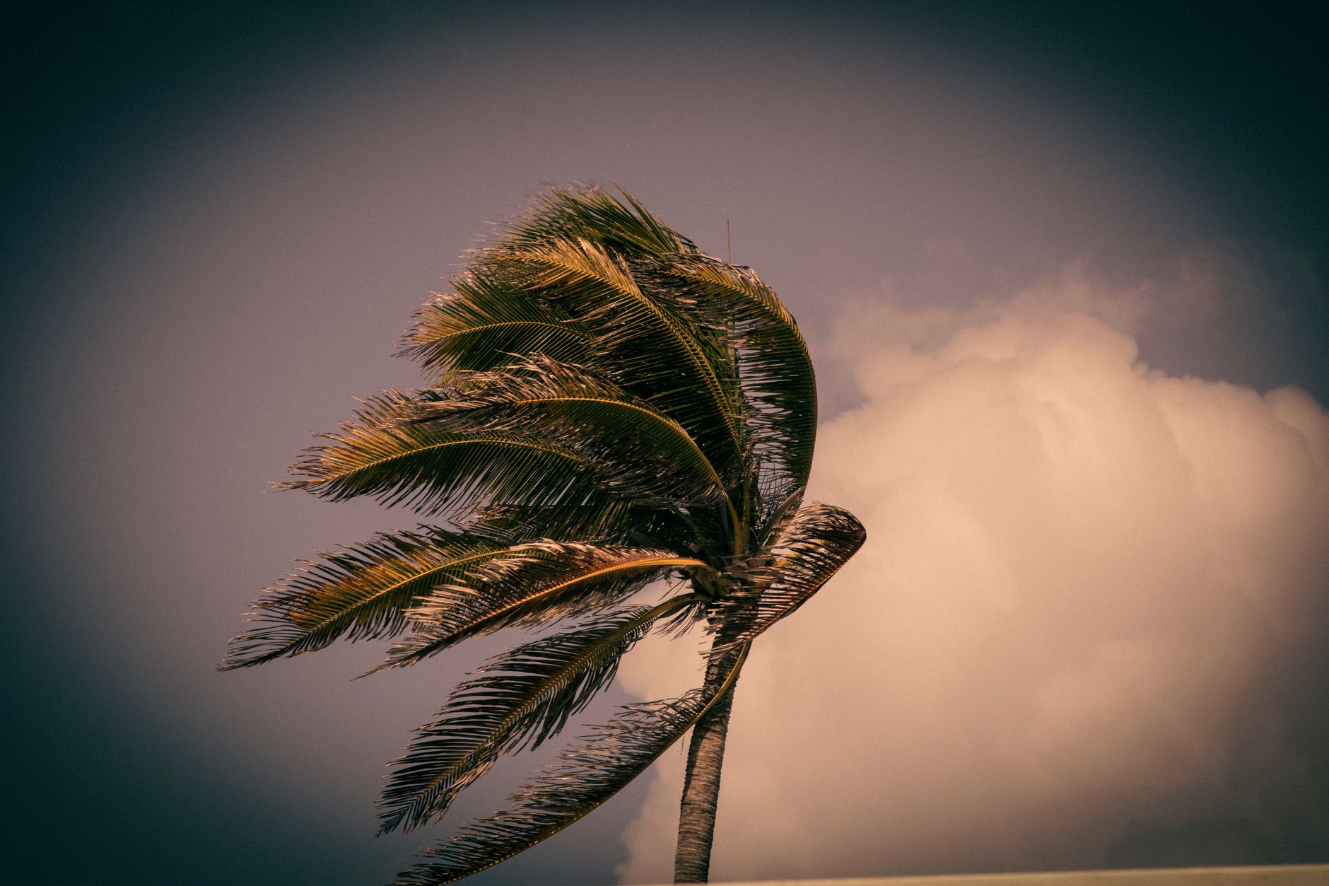 Hurricane Isaias hits Florida near Destin as category 2
